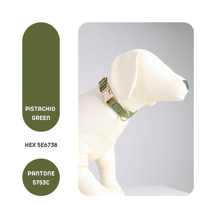 Comfortable Curved Collar in Pistachio Green, showcasing stylish design and eco-friendly materials.