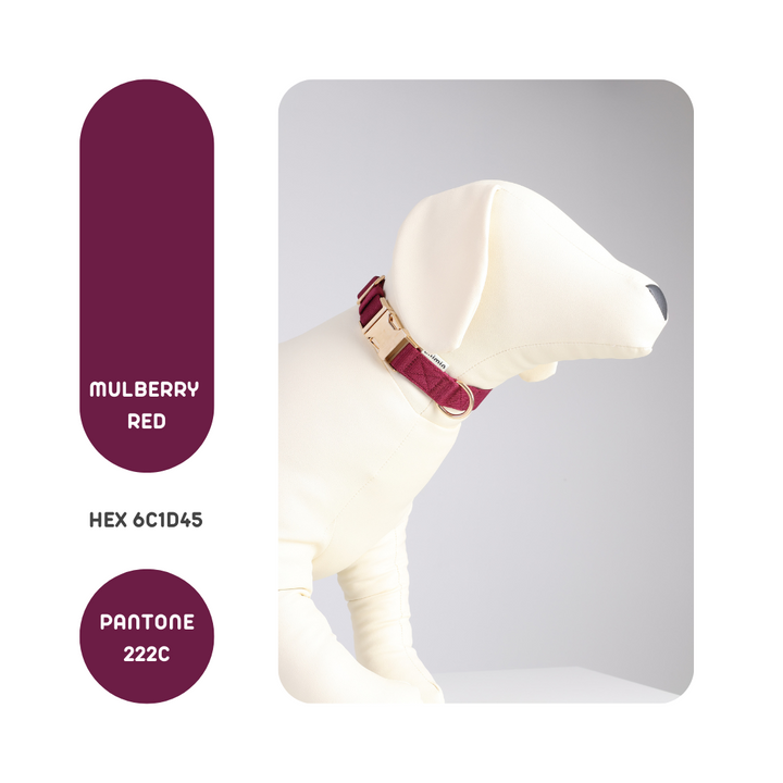 UNIMIN Comfortable Curved Collar in Mulberry Red, designed with a curved metal buckle for a gentle fit around your pet's neck.