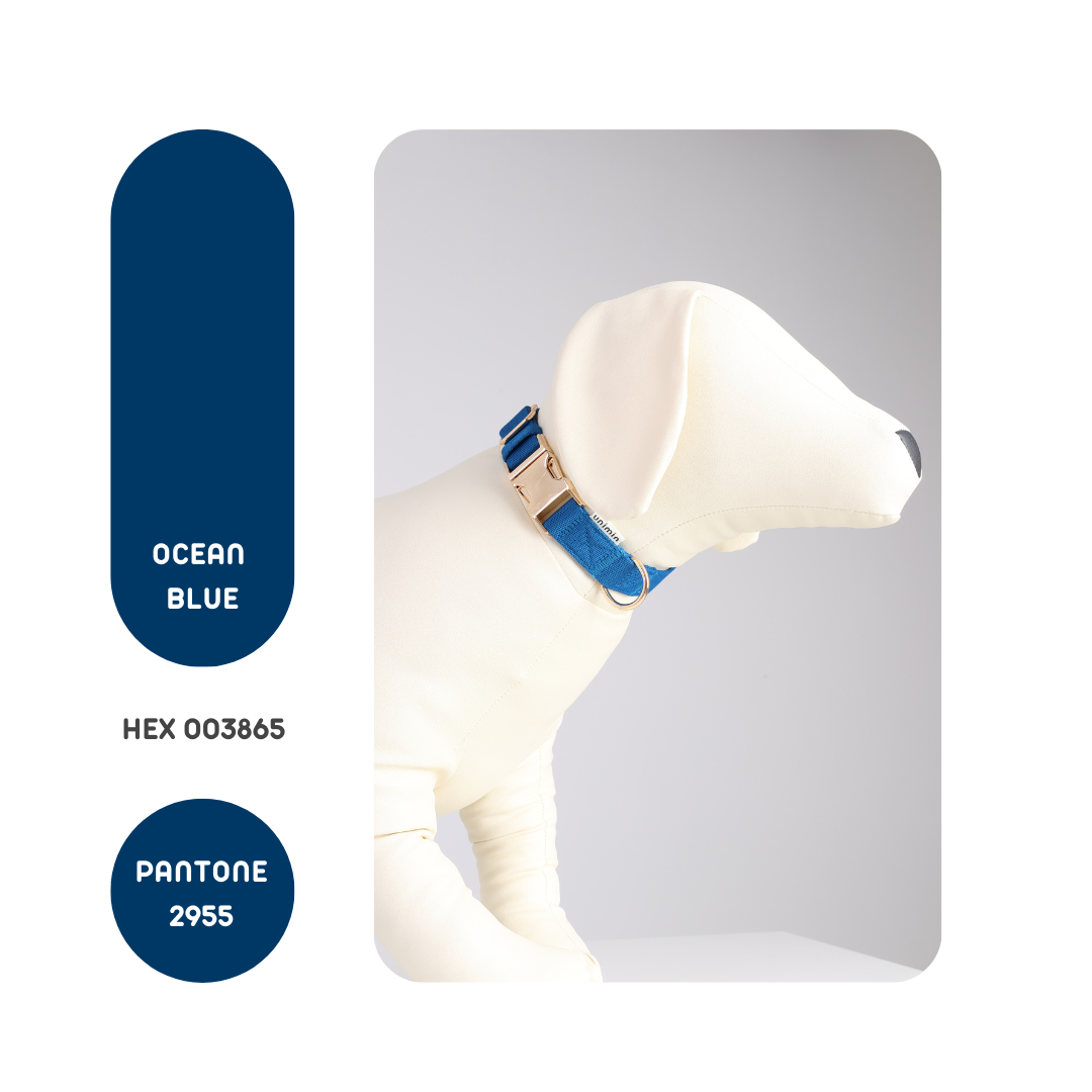 Side view of the Comfortable Curved Collar in Ocean Blue, featuring ultra-soft REPREVE® webbed fiber to minimize tugging.