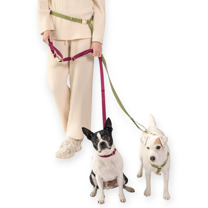 UNIMIN Happy Together Time Saving Leash Coupler in use, walking two dogs comfortably and safely.