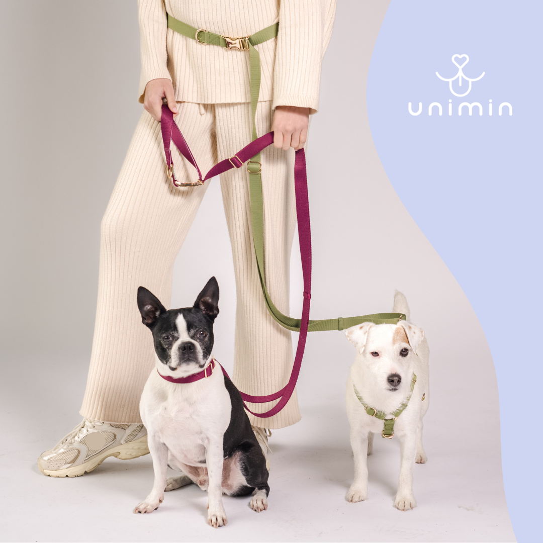 UNIMIN Three-Ways Versatile Leash in Mulberry Red, highlighting its soft yet strong webbing made from recycled materials.