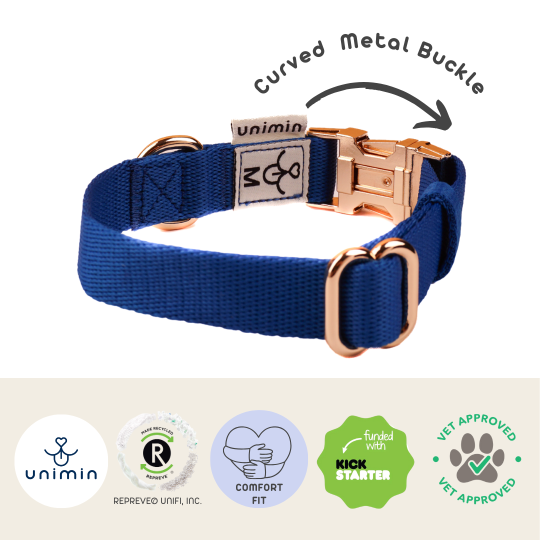 Close-up of the curved metal buckle on UNIMIN's Comfortable Curved Collar, ensuring maximum comfort for your dog.